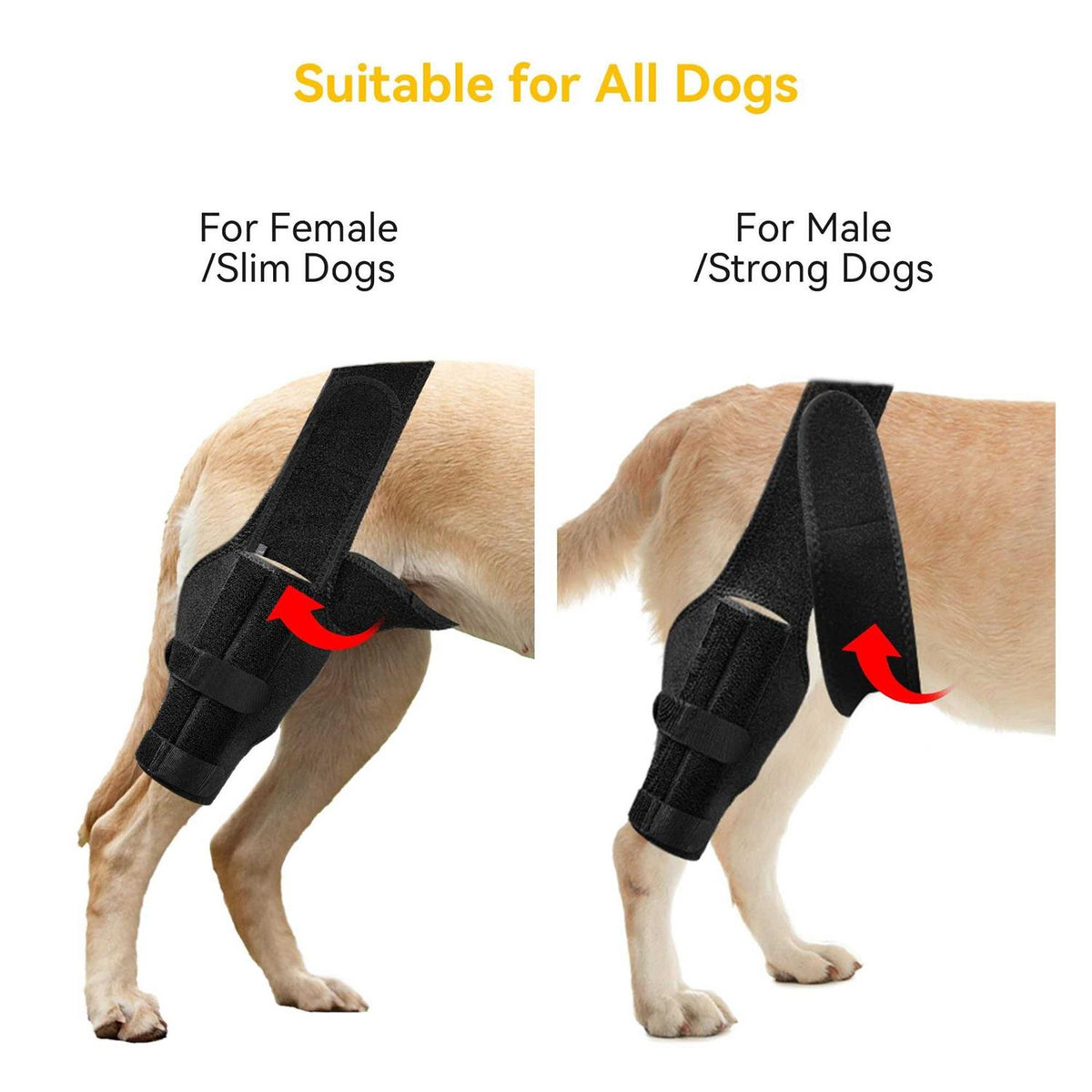 Dog Knee Brace for ACL Cruciate Ligament Injury D474