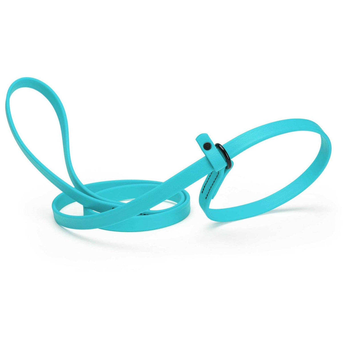 Biothane Slip Dog Leash R9105