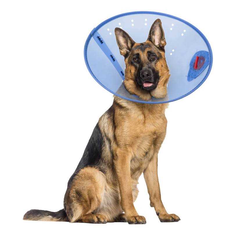 Calming Dog E-Collar L1104