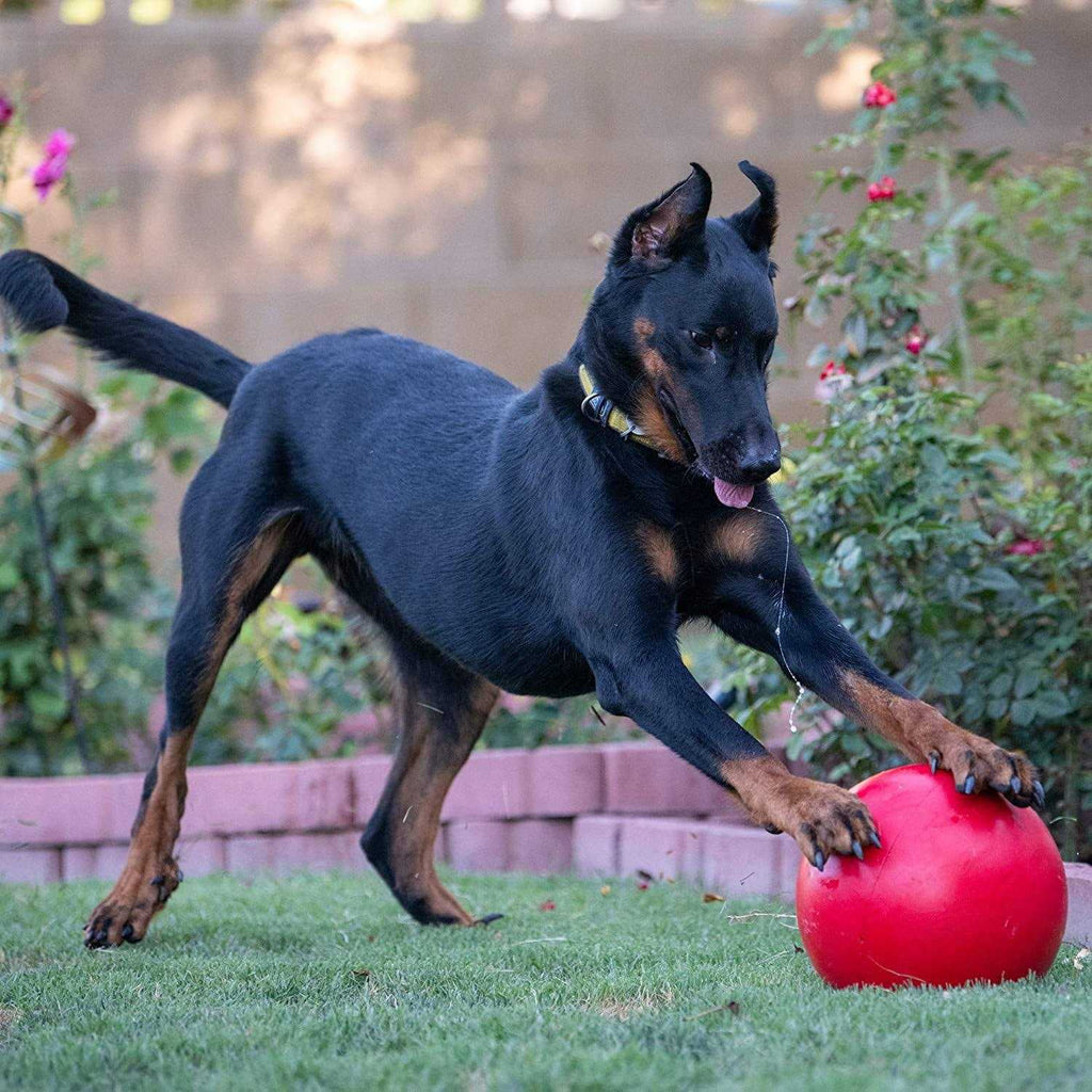 Virtually Indestructible Ball Z589