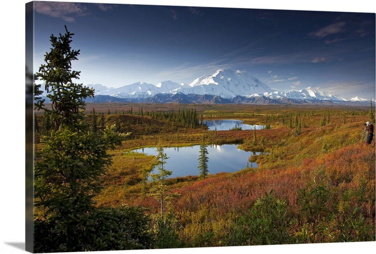 Male hiker near two kettle ponds in the fall tundra Canvas V26373