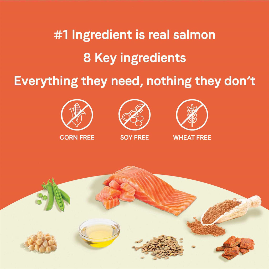 Salmon Small Breed Puppy Dry Dog Food O640