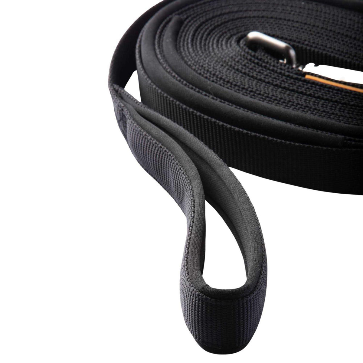 Leash C460369