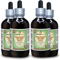 Parietaria Officinalis Dried Herb Alcohol-Free Liquid Extract 4x120 ml Z58309