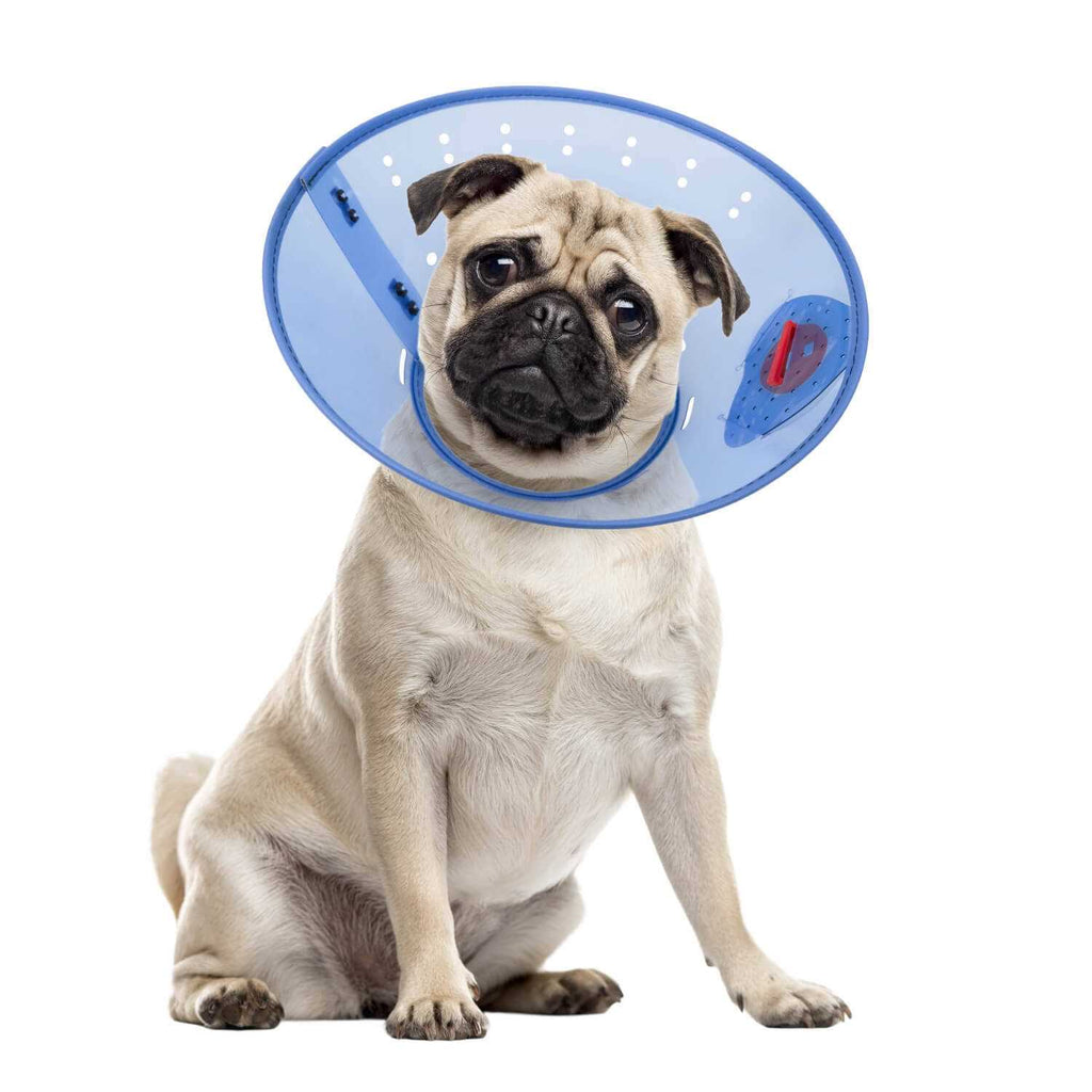 Calming Dog E-Collar L1104
