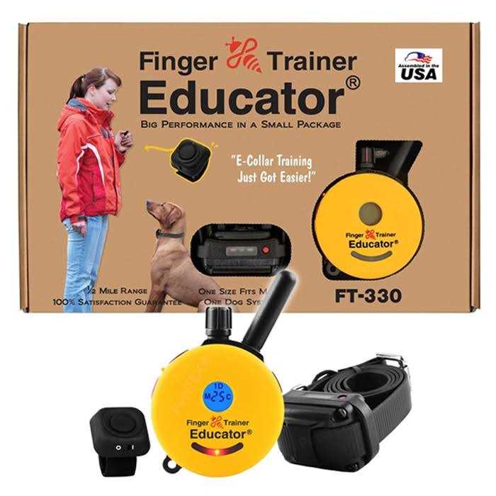 Remote Dog Training Collar with Vibration A870