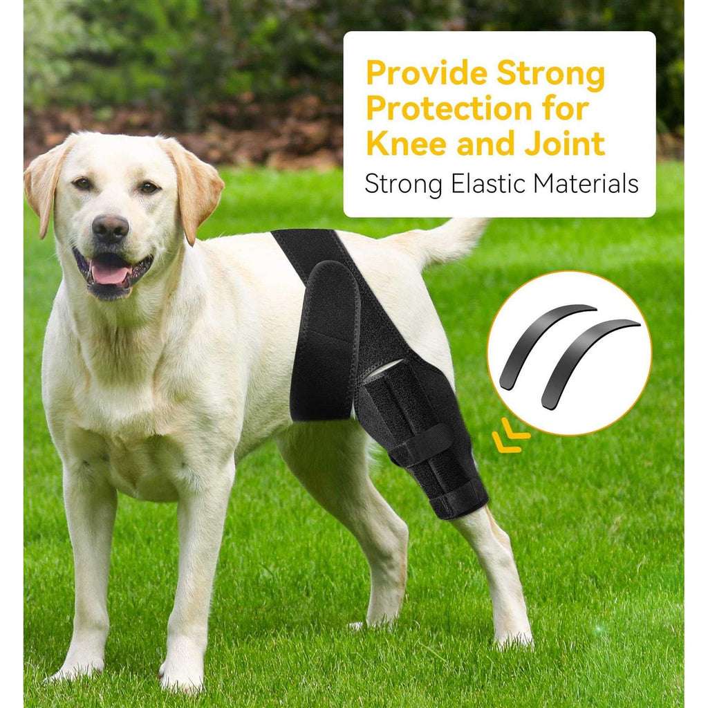 Dog Knee Brace for ACL Cruciate Ligament Injury D474