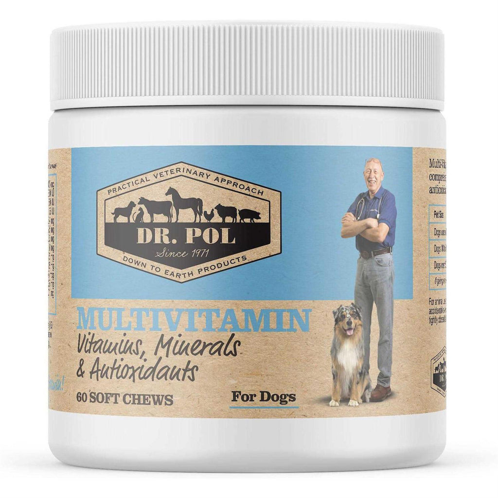Chewable Multivitamins for Dogs L522