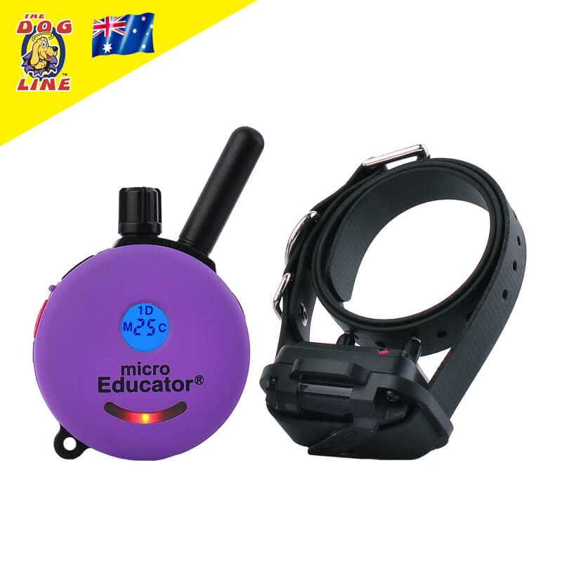 Remote Dog Training Collar with Vibration A870