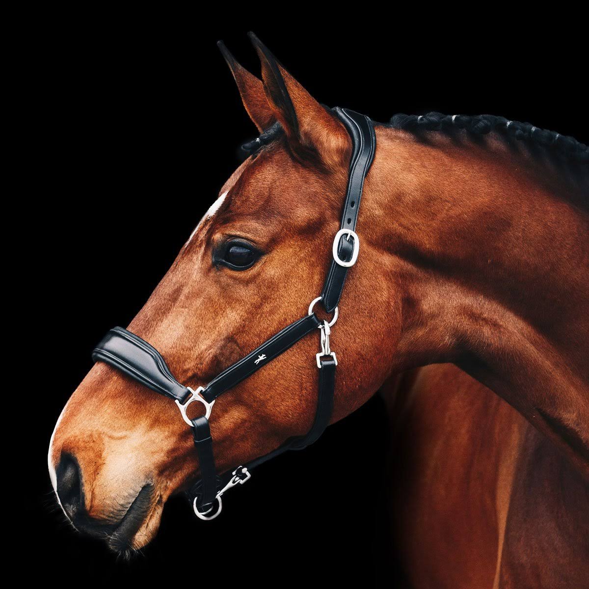 Anatomical Leather Halter S85269