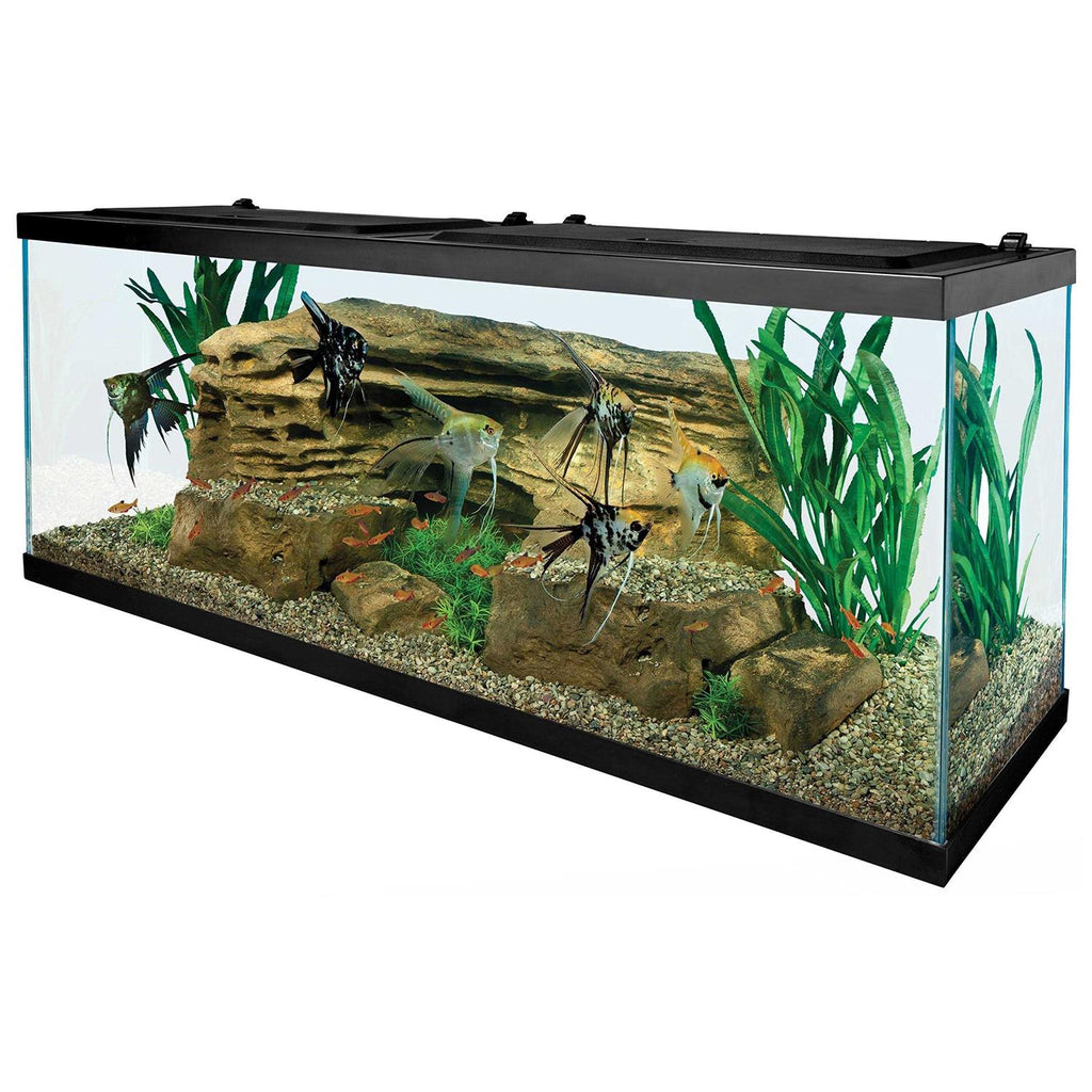 55-Gallon Aquarium with Net O62015
