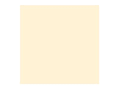 ivory 8.5 in x 11 in 250 sheet card stock D9346